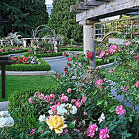 SA Smart Solar Powered Pest Repeller