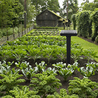 SA Smart Solar Powered Pest Repeller