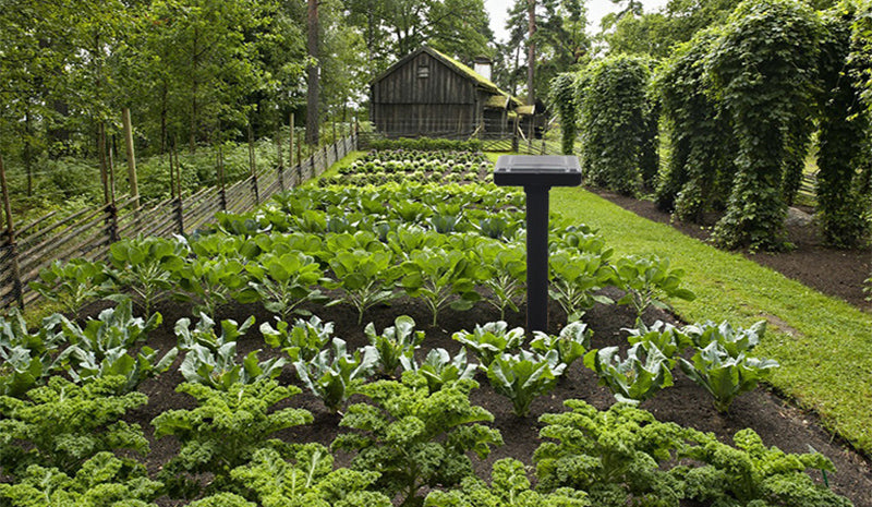 SA Smart Solar Powered Pest Repeller